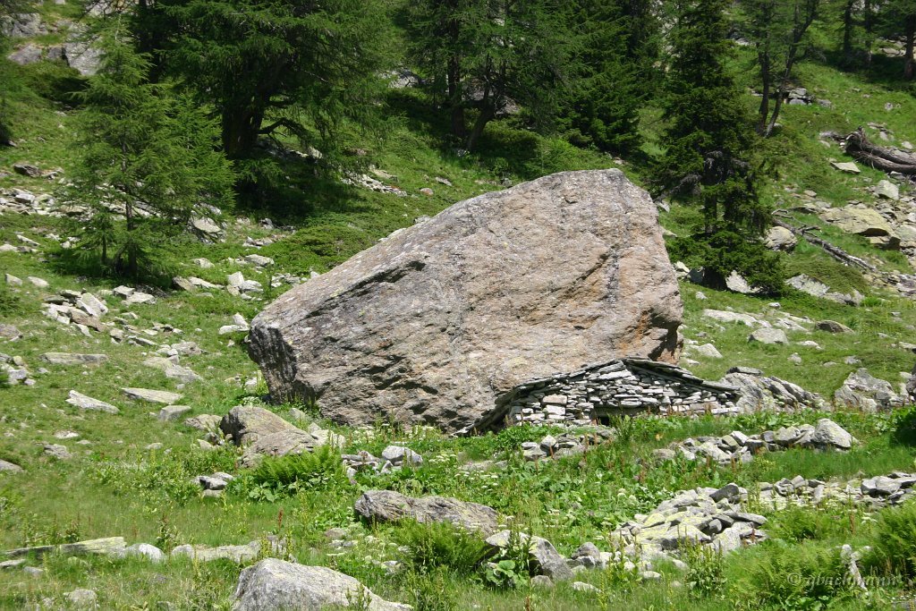 20060716_263